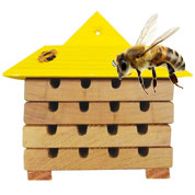 Hive for Solitary Bees - Caillard